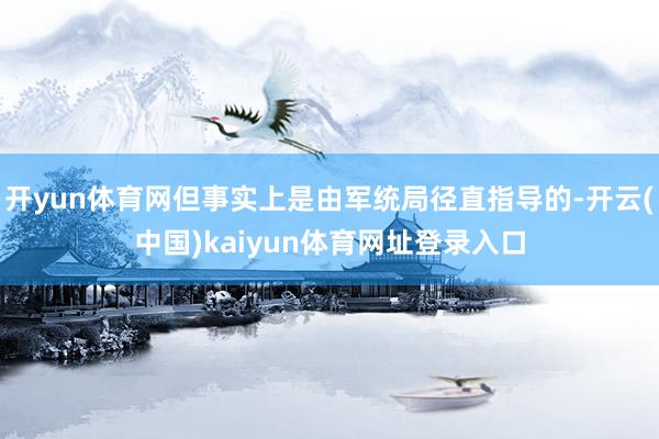 开yun体育网但事实上是由军统局径直指导的-开云(中国)kaiyun体育网址登录入口