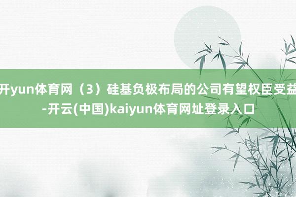 开yun体育网(3)硅基负极布局的公司有望权臣受益-开云(中国)kaiyun体育网址登录入口