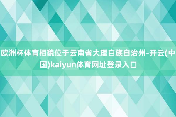 欧洲杯体育相貌位于云南省大理白族自治州-开云(中国)kaiyun体育网址登录入口