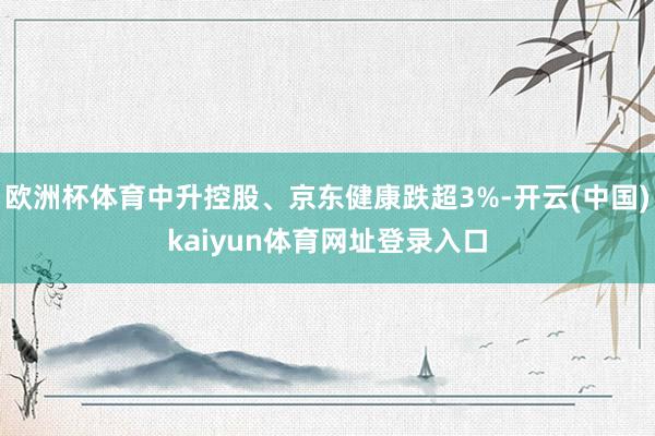 欧洲杯体育中升控股、京东健康跌超3%-开云(中国)kaiyun体育网址登录入口