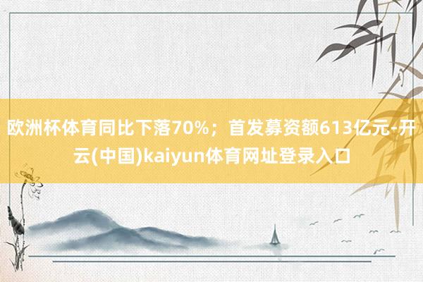 欧洲杯体育同比下落70%；首发募资额613亿元-开云(中国)kaiyun体育网址登录入口