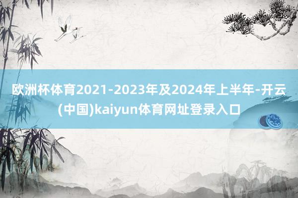 欧洲杯体育2021-2023年及2024年上半年-开云(中国)kaiyun体育网址登录入口