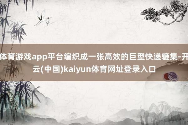 体育游戏app平台编织成一张高效的巨型快递辘集-开云(中国)kaiyun体育网址登录入口