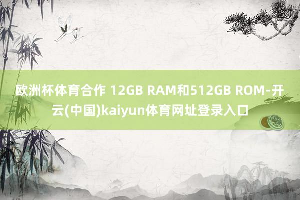 欧洲杯体育合作 12GB RAM和512GB ROM-开云(中国)kaiyun体育网址登录入口