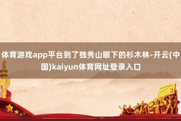 体育游戏app平台到了独秀山眼下的杉木林-开云(中国)kaiyun体育网址登录入口